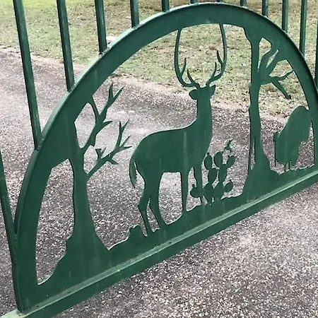 Villa Casita On The Ranch - Wildlife, Sunsets, Stars, Relax Spring Branch Exterior foto
