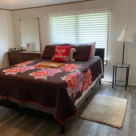 Villa Casita On The Ranch - Wildlife, Sunsets, Stars, Relax Spring Branch Exterior foto